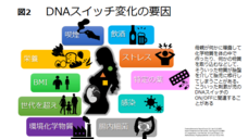 慶應義塾大学 SFC 健康情報コンソーシアムのプレスリリース画像4