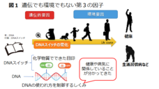 慶應義塾大学 SFC 健康情報コンソーシアムのプレスリリース画像3