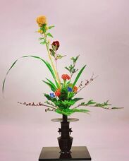 株式会社グリーンパワーのプレスリリース画像1