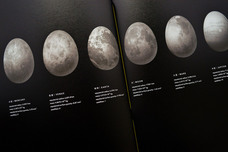 小瀬古 智之のプレスリリース画像9