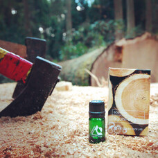 .Pica sericea.のプレスリリース画像6