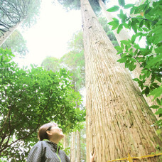 .Pica sericea.のプレスリリース画像4