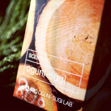 .Pica sericea.のプレスリリース画像5