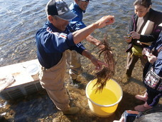 NPO法人ORGANのプレスリリース画像8