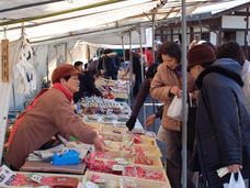 NPO法人ORGANのプレスリリース画像5