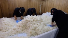 NPO法人ORGANのプレスリリース画像6