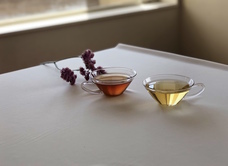 株式会社カル・ダモンのプレスリリース画像2