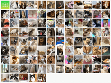 株式会社Funseekのプレスリリース画像6