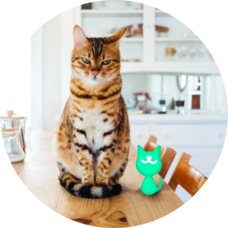 株式会社Funseekのプレスリリース画像5