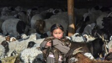 株式会社FLOWのプレスリリース画像1