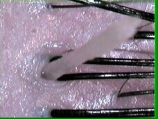 株式会社大場のプレスリリース画像2