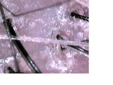 株式会社大場のプレスリリース画像1