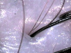 株式会社大場のプレスリリース画像2