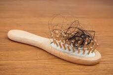 株式会社大場のプレスリリース画像4