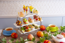 株式会社ランドのプレスリリース画像1