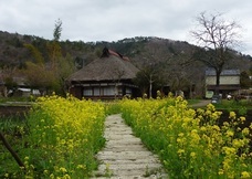 NPO法人ＲＥ－ＪＡＰＡＮのプレスリリース画像1