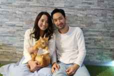 特定非営利活動法人 動物愛護・福祉協会６０家(ロワや)のプレスリリース画像5