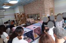 特定非営利活動法人 動物愛護・福祉協会６０家(ロワや)のプレスリリース画像10