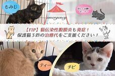 特定非営利活動法人 動物愛護・福祉協会６０家(ロワや)のプレスリリース画像1