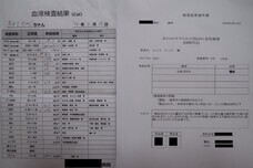 特定非営利活動法人 動物愛護・福祉協会６０家(ロワや)のプレスリリース画像9