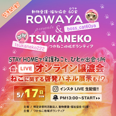 特定非営利活動法人 動物愛護・福祉協会６０家(ロワや)のプレスリリース画像1