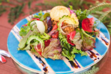 地球ホテル株式会社のプレスリリース画像3