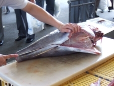 株式会社アグリ白神の里のプレスリリース画像1