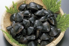 株式会社グリーンズのプレスリリース画像3