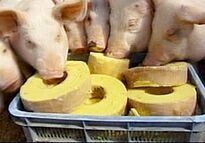 株式会社グリーンズのプレスリリース画像3