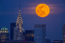 植山　慎太郎のプレスリリース画像3