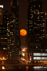 植山　慎太郎のプレスリリース画像6