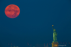 植山　慎太郎のプレスリリース画像2