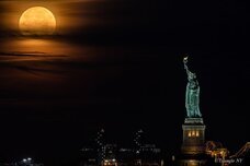 植山　慎太郎のプレスリリース画像2