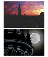 植山　慎太郎のプレスリリース画像1