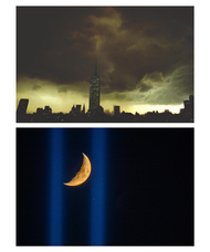 植山　慎太郎のプレスリリース画像2