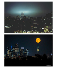 植山　慎太郎のプレスリリース画像3