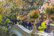 植山　慎太郎のプレスリリース画像1