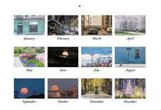 植山　慎太郎のプレスリリース画像2