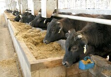 宏福商事合同会社のプレスリリース画像1