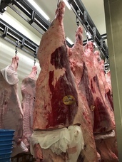 宏福商事合同会社のプレスリリース画像2