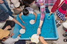 黒江めった祭り実行委員会のプレスリリース画像2