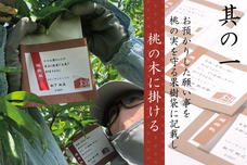 Rucci Fruits Design Studioのプレスリリース画像1