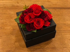 ドーシア合同会社のプレスリリース画像7