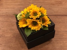 ドーシア合同会社のプレスリリース画像8