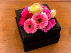 ドーシア合同会社のプレスリリース画像9