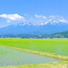 株式会社ＭＮＨのプレスリリース画像6