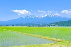 株式会社ＭＮＨのプレスリリース画像2