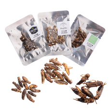 株式会社ＭＮＨのプレスリリース画像6