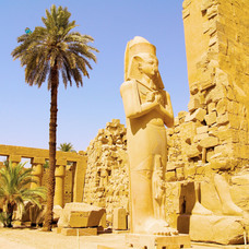 株式会社ＭＮＨのプレスリリース画像3