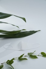 株式会社マルチョウのプレスリリース画像5